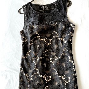 White House Black Market Black lace dress